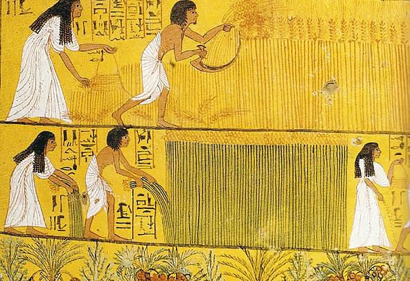 Honeyview_41b592f35d46c4bb1709ea96ddec88940f7cd35e